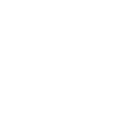 Website Development icon